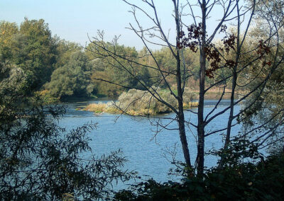 Alter Rhein bei Flusskilometer 180