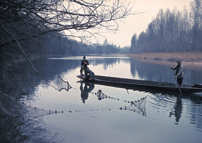 Fang mit der Fischlege im Oberrheingebiet