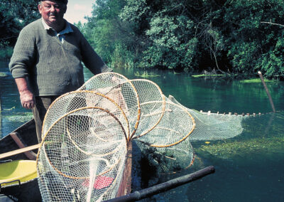 Garnreuse in Altarm am Oberrhein
