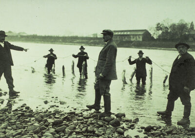 Gefangene Lachse an der Wiesemündung im Jahr 1927