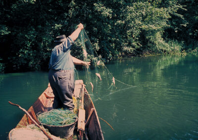 Kiemennetzeinsatz in einem Altarm am Oberrhein