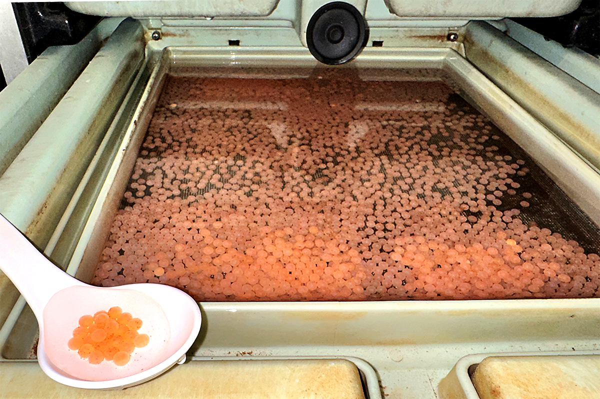 Lachseier im Januar 2025