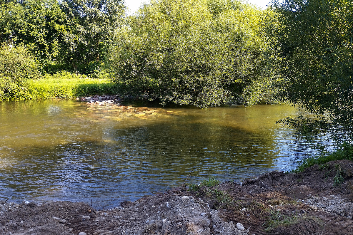 Lachsnachweisort Tumringen 2024