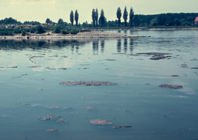 Murgmündung mit Abwasser im Jahr 1957