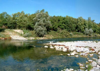 Restrhein an der Natorampe Grißheim