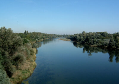 Restrhein an der Neuenburger Brücke