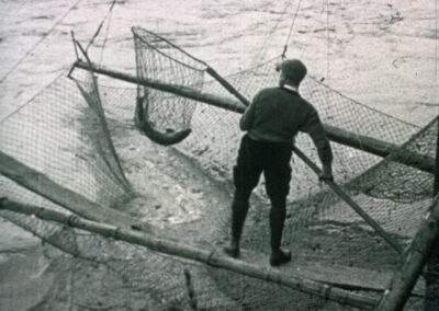 Salmentnahme aus dem Woog im Jahr 1927