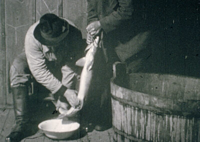 Streifen eines gefangenen Lachses bei Grenzach im Jahr 1927