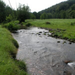 WFBW: Lachsprogrammgewässer Alb